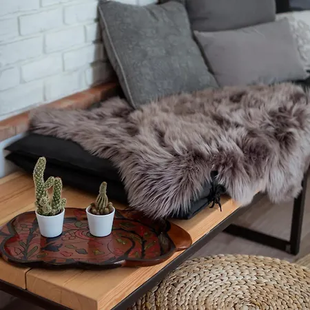 Apartment Little *